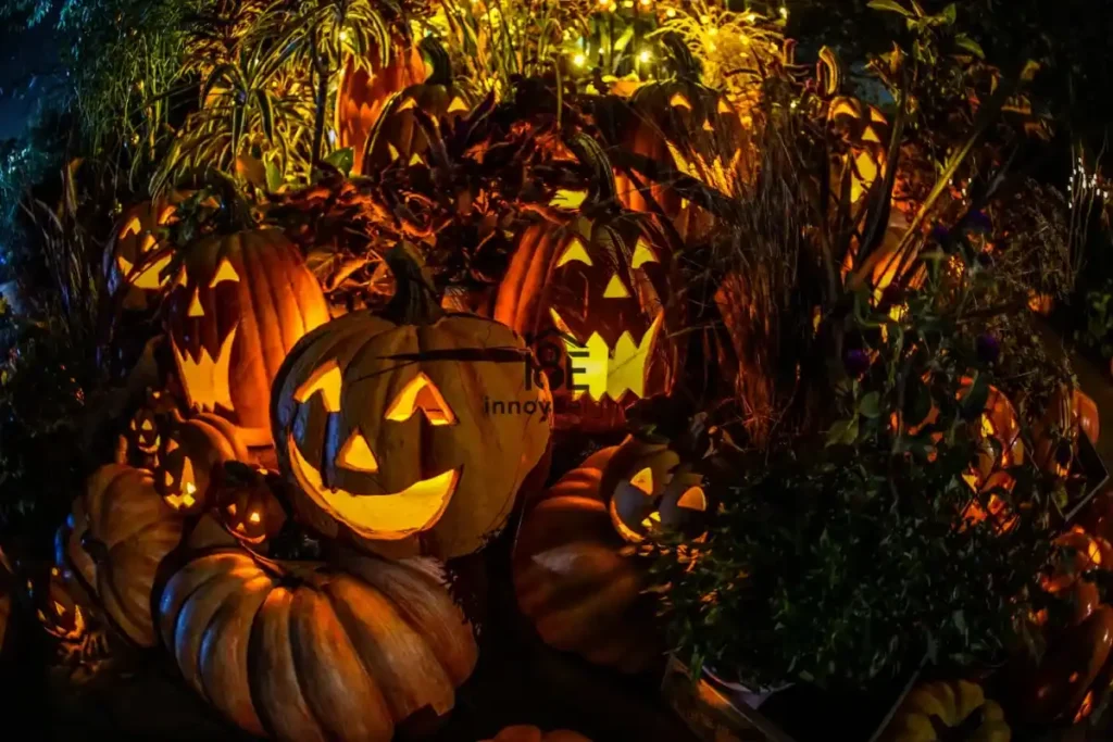 Backyard Halloween Decorations